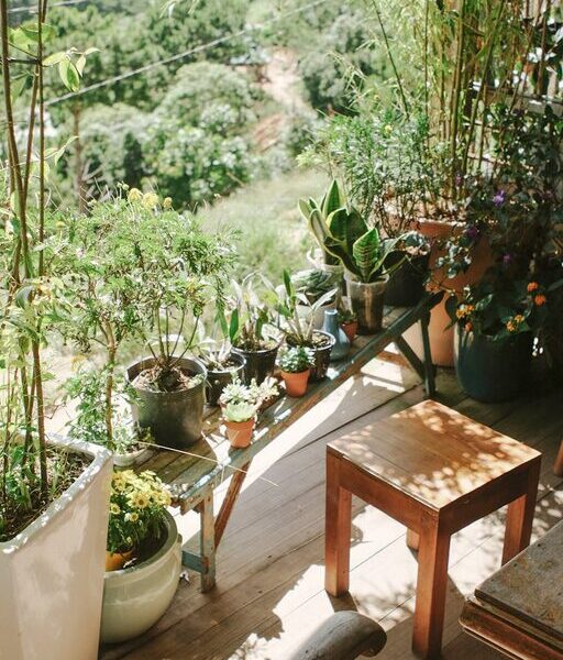 Simple Tips for Creating a Relaxing Garden Space at Home