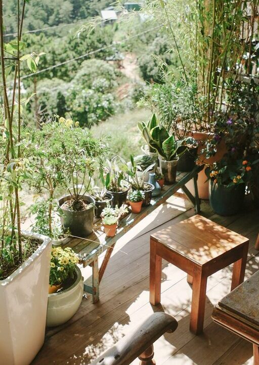 Simple Tips for Creating a Relaxing Garden Space at Home