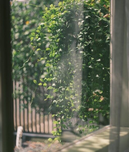 Tips for Creating a Relaxing Home Garden Space