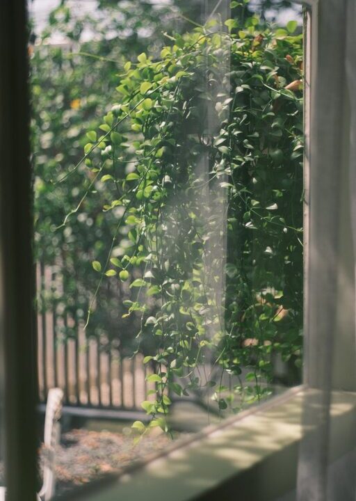 Tips for Creating a Relaxing Home Garden Space