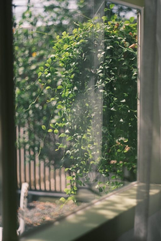 Tips for Creating a Relaxing Home Garden Space