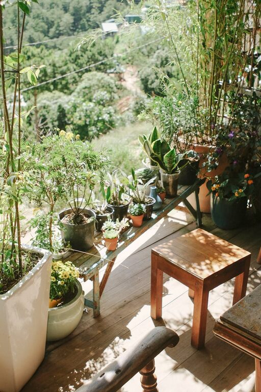 Affordable Tips for Creating a Relaxing Home Garden Space